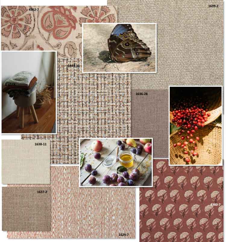 Fresh Brew swatch and color palette